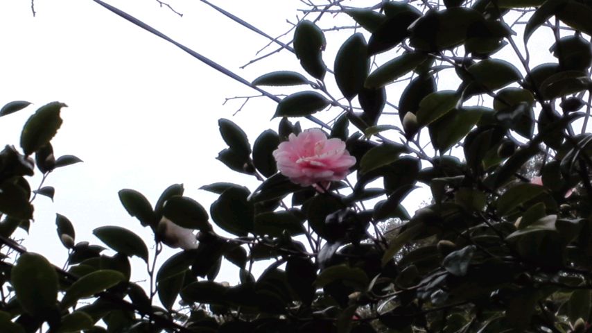 mini_160111_1536.jpg