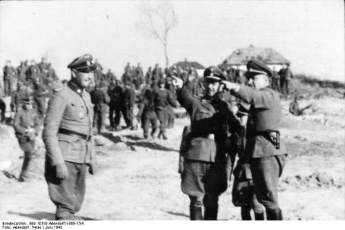 Bundesarchiv_Bild_101III-AdendorfII-088-15A,_Russland,_bei_Charkow,_Frontbesuch_Himmlers.jpg