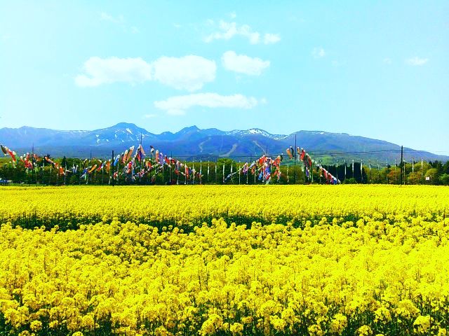 250509hartfullfarm2.jpg