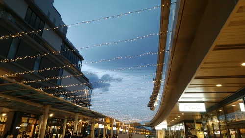 20221217  DSC_0003.jpg