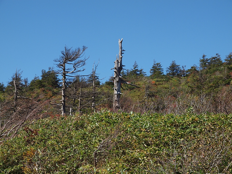 PA079342.JPG