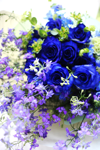 blue-violet8800-8-2.jpg