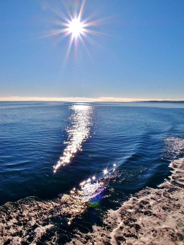 R0054490 (768x1024).jpg