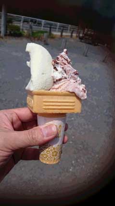 いちごティラミスとばっけ.JPG