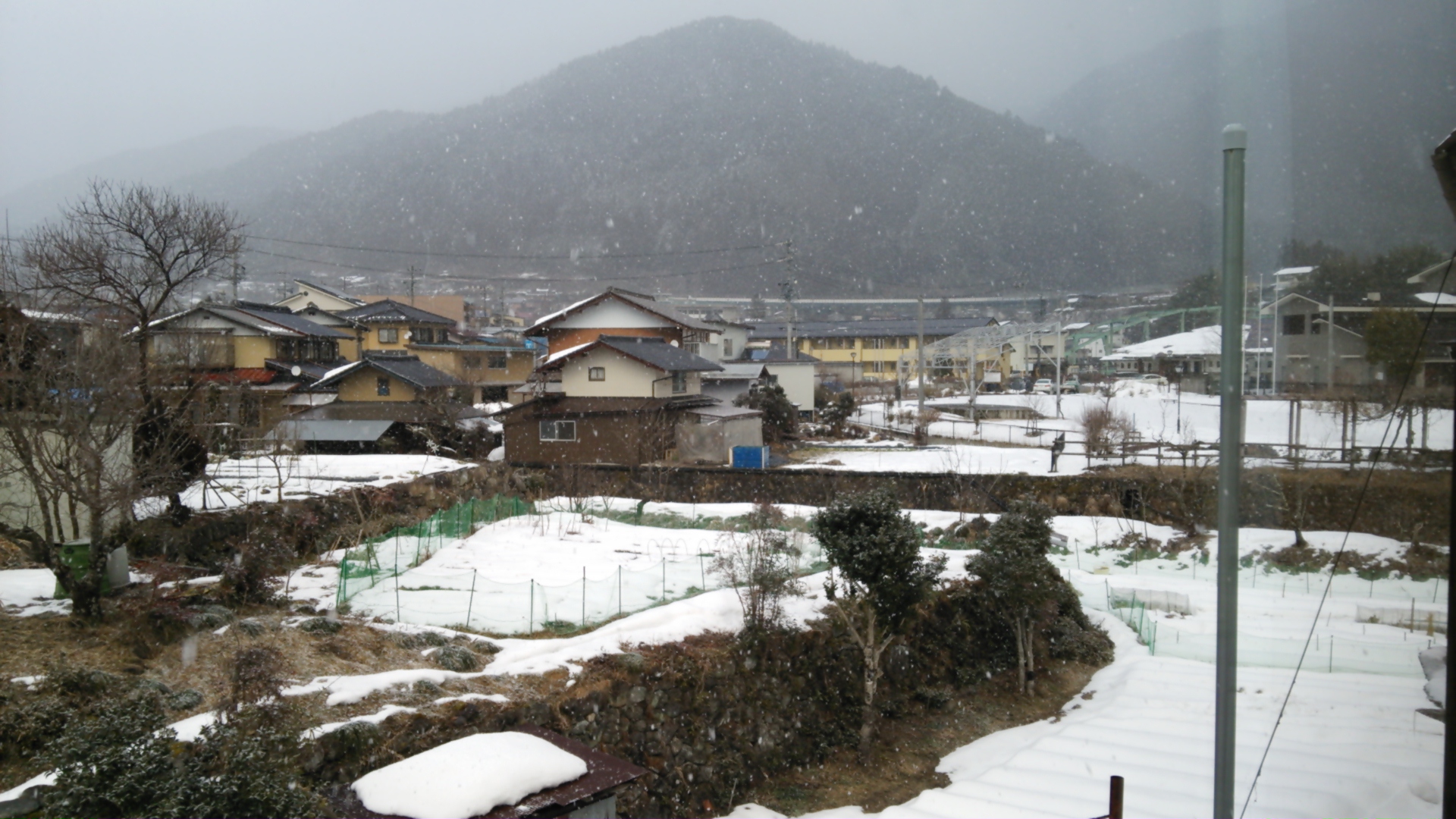 DSC_0065.JPG