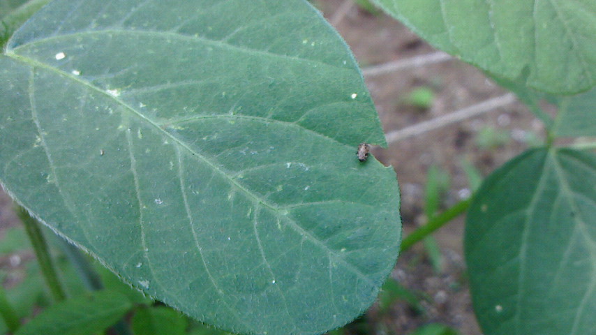NEC_0574.JPG