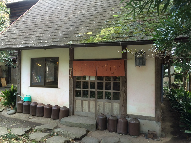 20141126 11352401.JPG