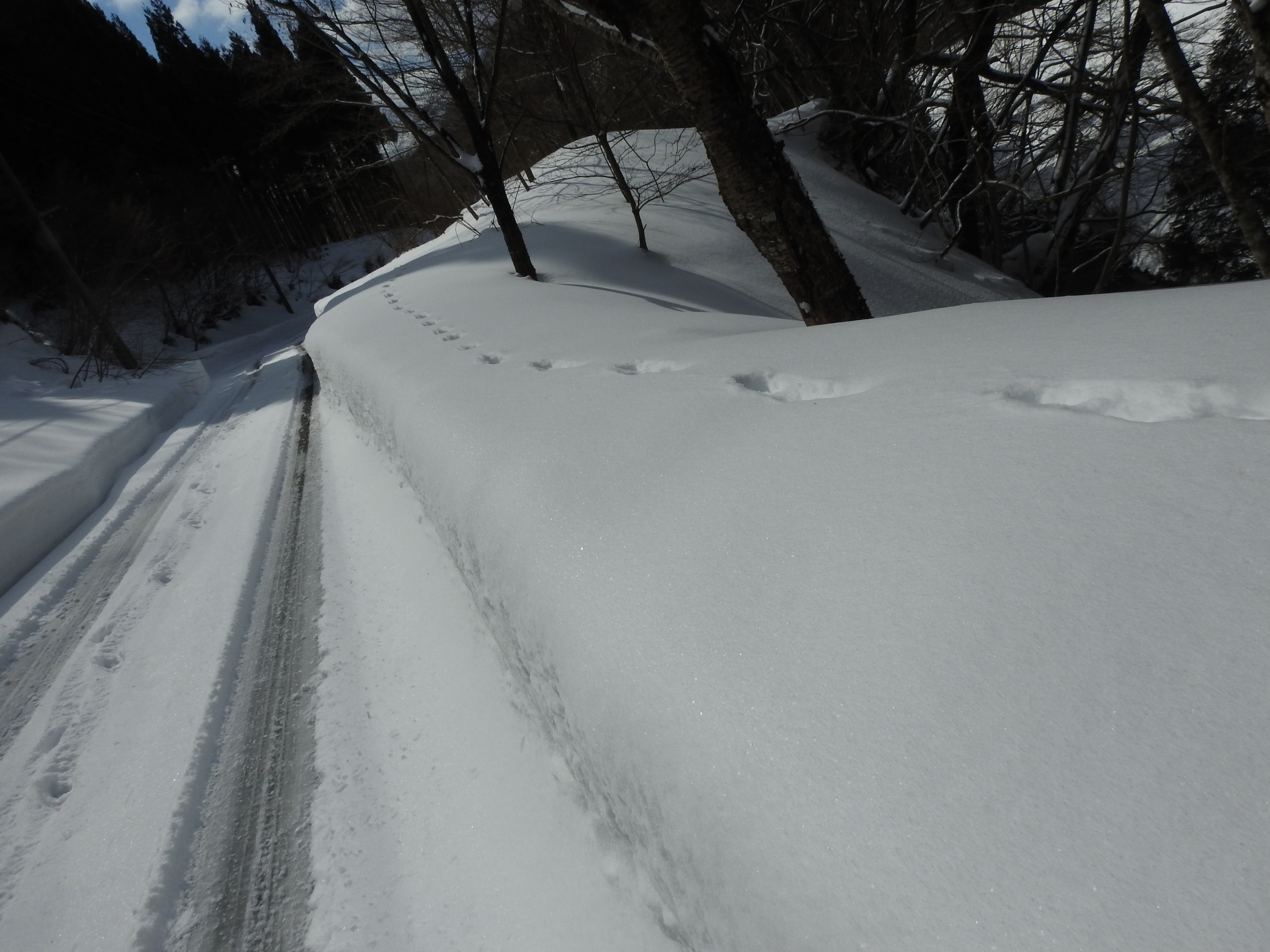 DSCN0495.JPG