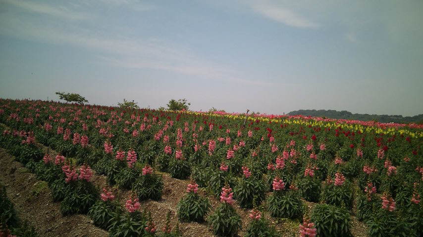 DVC00100(V.2012_05_27__11_32_35).jpg