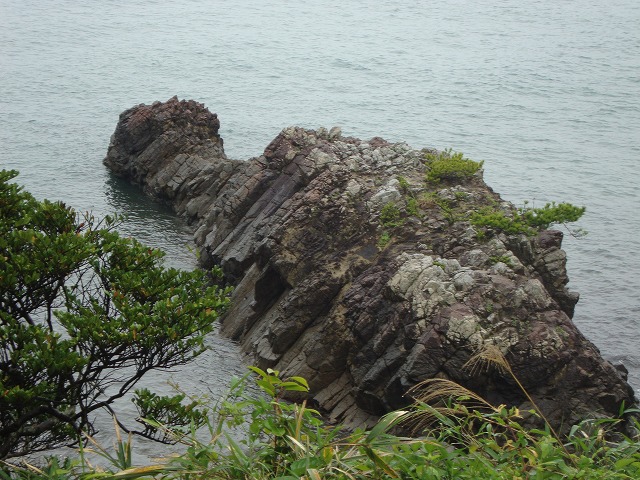 DSC01407.jpg
