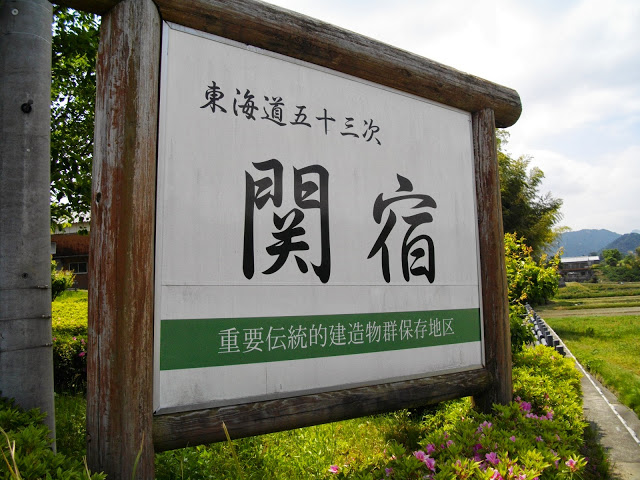 IMGP1587.JPG
