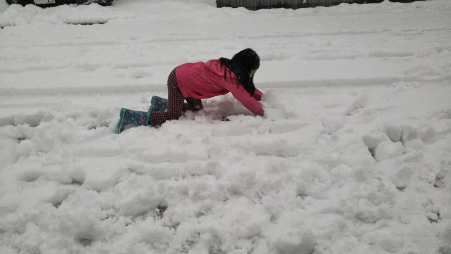 2018.1．23大雪2.jpg