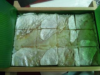 セイズファームさんへお邪魔しました　鯛の舞