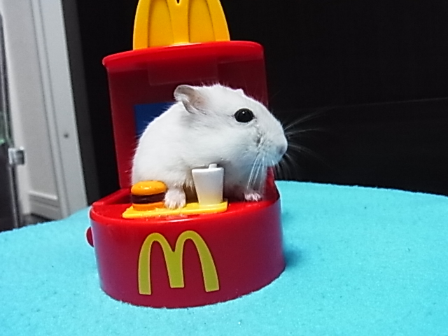 2014_06150841.JPG