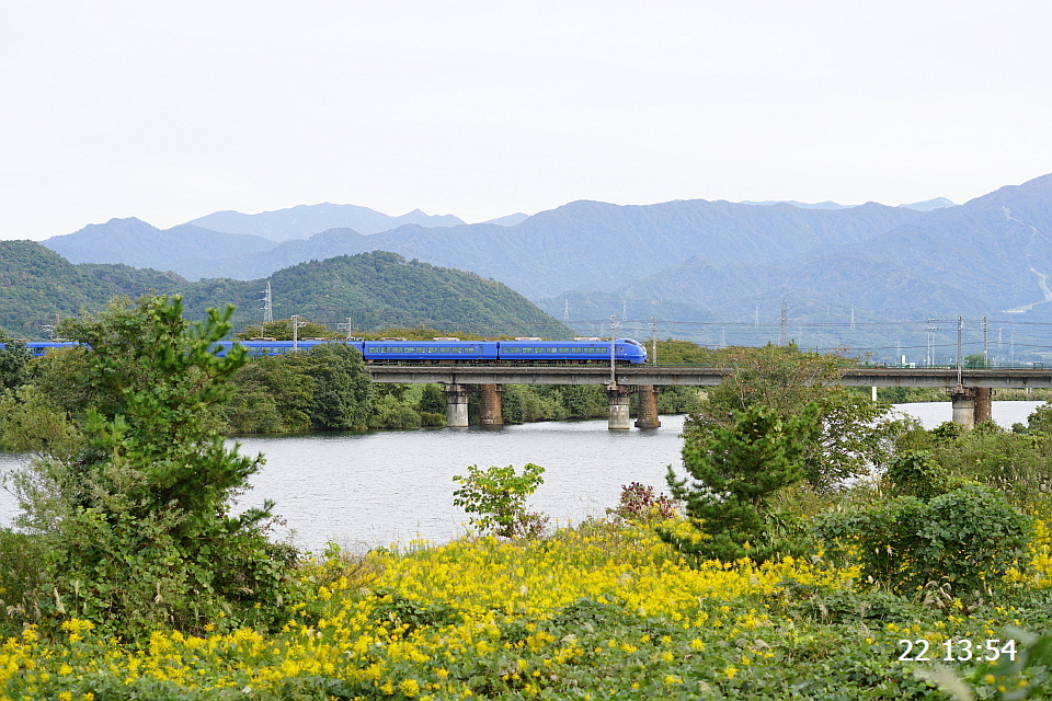 DSC049160001.JPG
