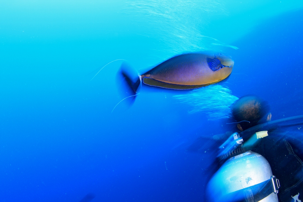 IMG_4537 (1024x683).jpg