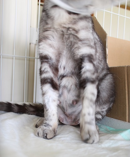 お母さん (22).JPG