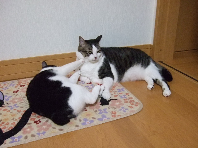 DSCF6989(2).JPG