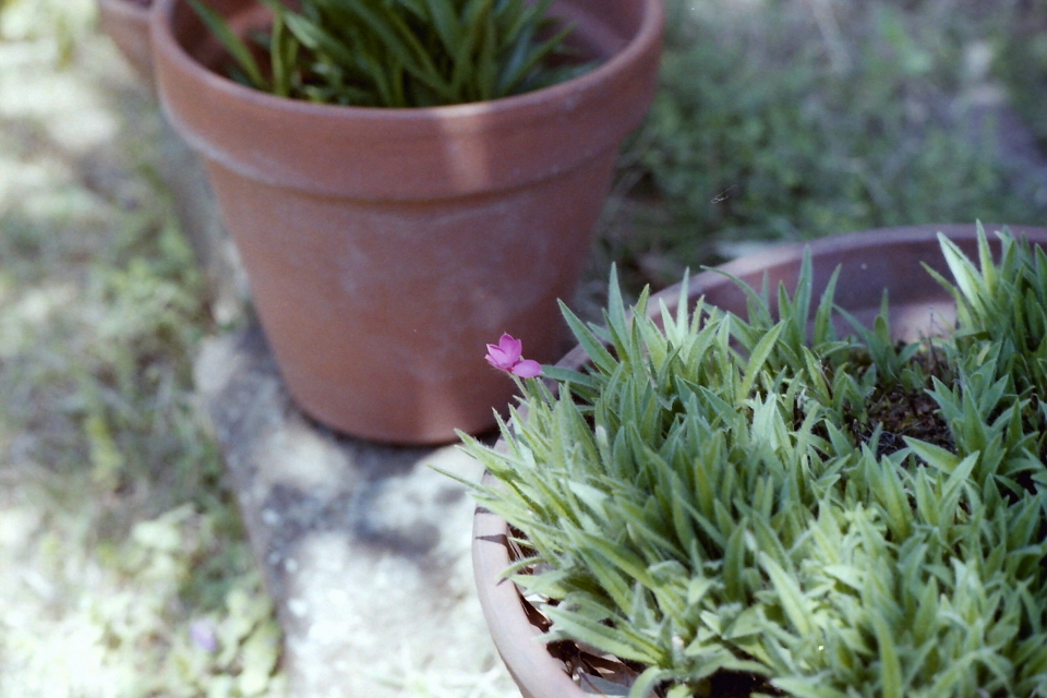 PICT0016 s.JPG