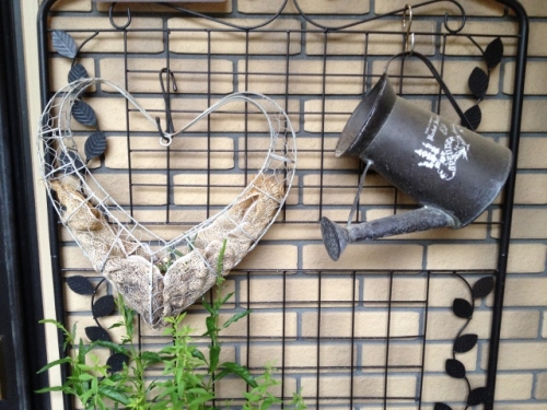 IMG_9203 (640x480).jpg