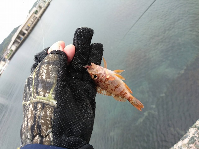 showPhoto (640×480)