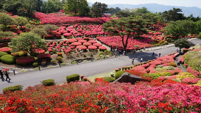 20150426 13265501.JPG