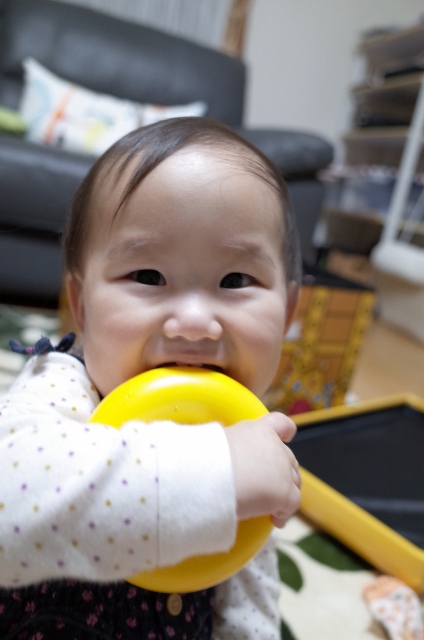 R0000784 (424x640).jpg