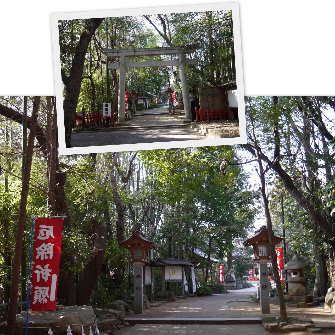 2020-03-26川野辺八幡宮2.jpg