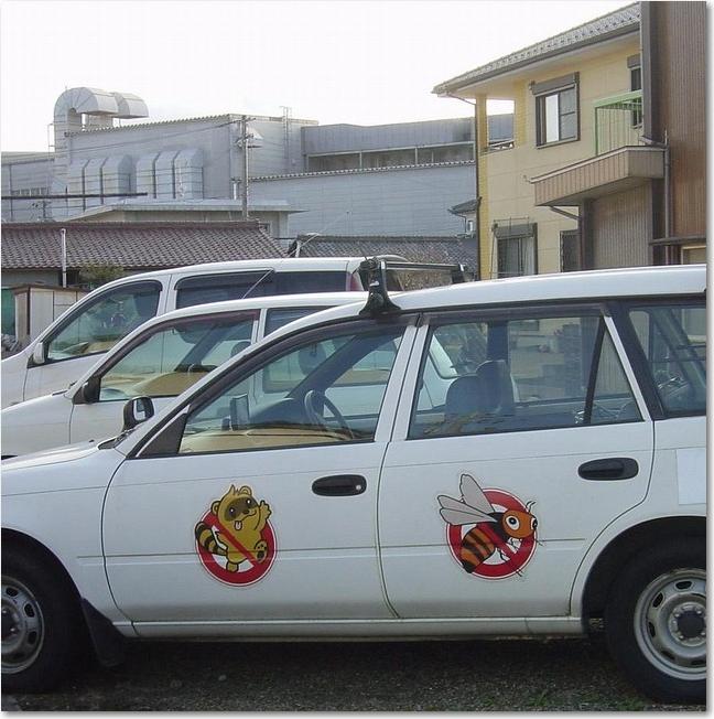 16アライグマ？