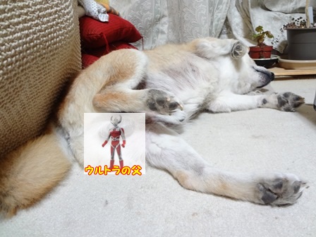 4ぐー.jpg