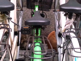 自転車シェルター