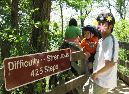 Amicalola Falls State Park