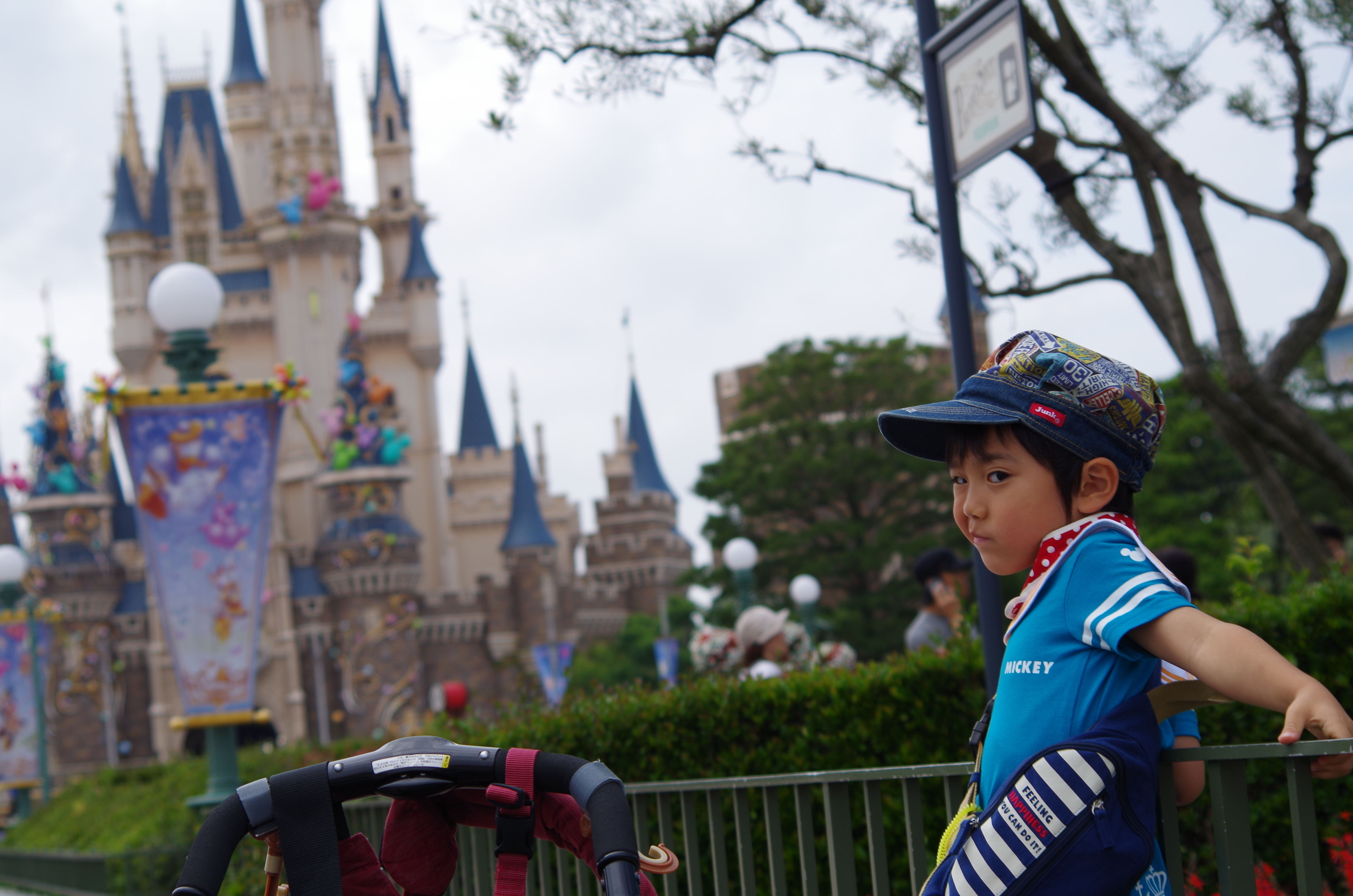 IMGP3541.JPG