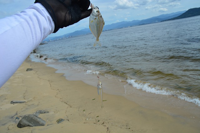 showPhoto (640×426)