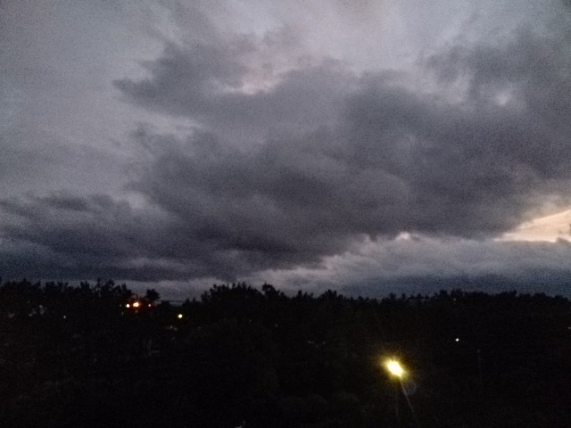 20140130  DSC_0001.jpg