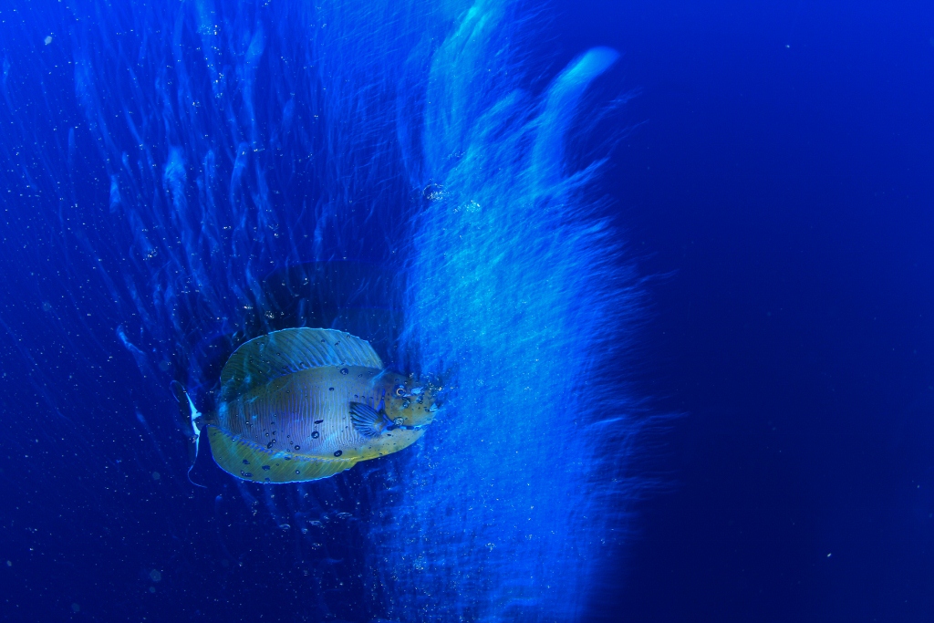 IMG_4266 (1024x683).jpg