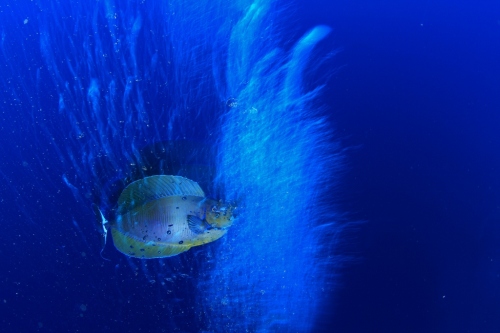 IMG_4266 (1024x683).jpg