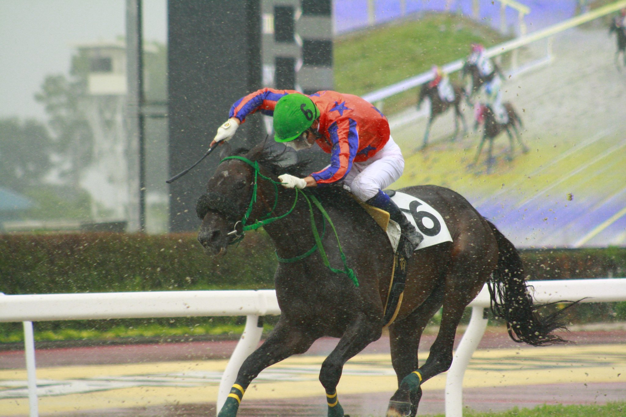 井口デビュー戦　ドラゴン.jpg