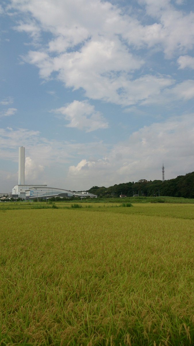 2016082209.jpg