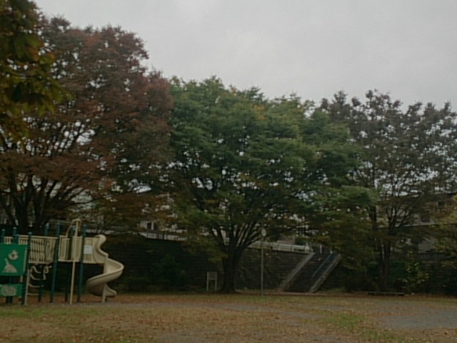 20171108  DSC_0003.jpg