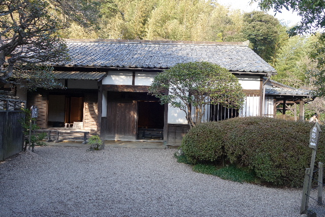 DSC03708.JPG