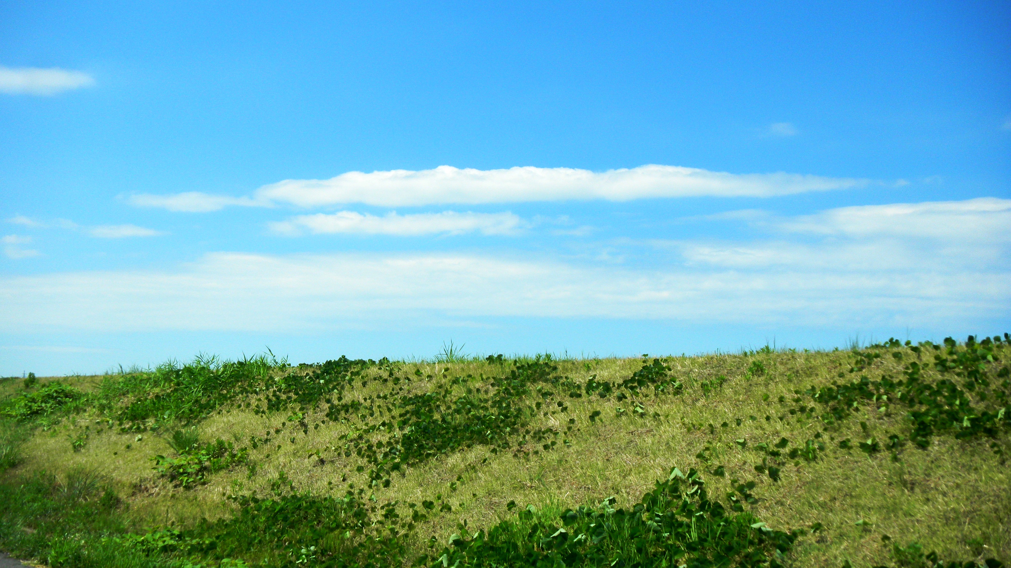 処暑の空 (2).JPG