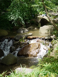 P1090406.jpg