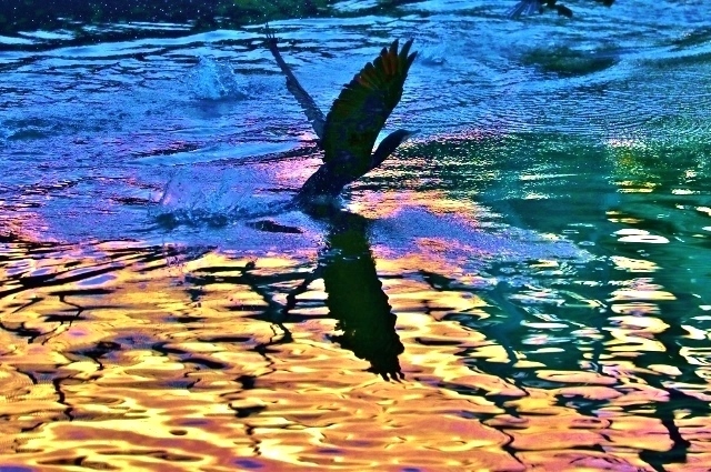 CJ9I1955 (640x425).jpg