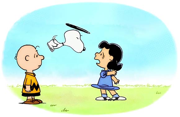 peanuts-normaal-series.jpg