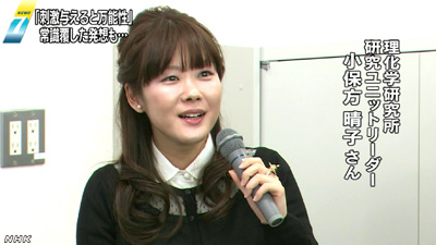 obokata1.jpg