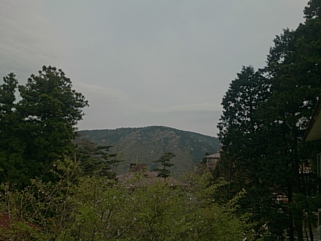 20150419  DSC_0002.jpg