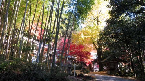 長安寺 (5).JPG