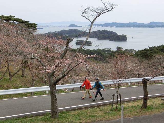 お手本.jpg