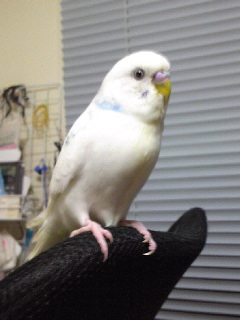 ねる２.jpg